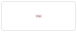 Vital Electrocomp logo